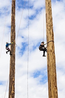 Edinburgh West Prints: A tree trunk climbing competition
