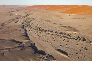 Plant Prints: Trees marking out the route of an underground river at Namib-Naukluft National Park