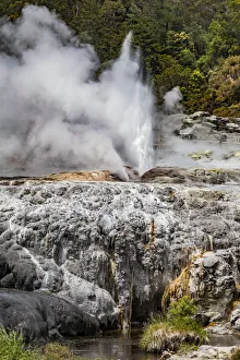 : Vapour rising from an active volcanic area at Te Puia in Roturua