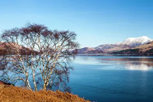 Trending: The view to Ben Nevis from Ardgour, Scotland