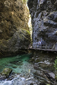 Images Dated 2010: Vintgar Gorge, Slovenia