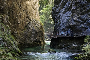 Lake Prints: Vintgar Gorge, Slovenia