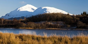 Images Dated 2012 December: A winter scene at Loch Awe, Argyll & Bute, Scotland
