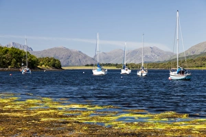 Images Dated 2011: Yachts in Loch Leven, Scotland