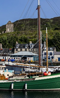 Lake Prints: Yachts in the marina at Tarbert, Scotland